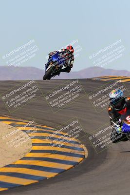 media/Dec-18-2022-SoCal Trackdays (Sun) [[8099a50955]]/Turns 9 and 10 Set 2 (1055am)/